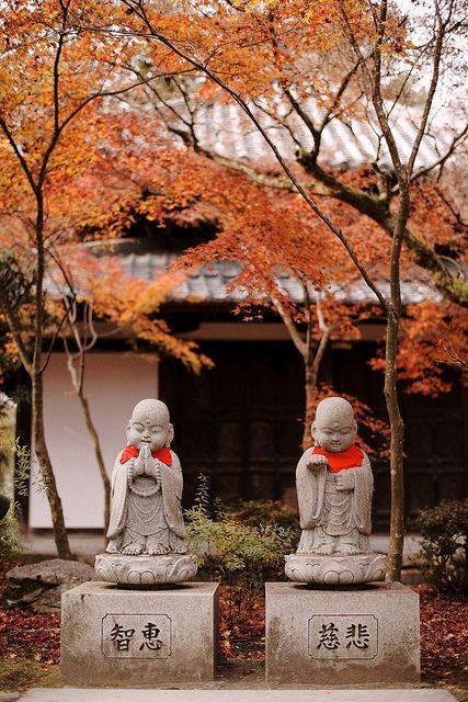 15179055_1279069532164306_5954494424378695422_n