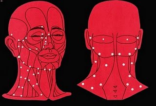 296979_216384725097541_1368393230_n