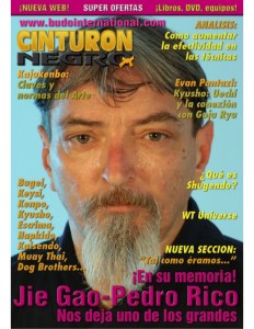 revista-artes-marciales-cinturn-negro-1-638