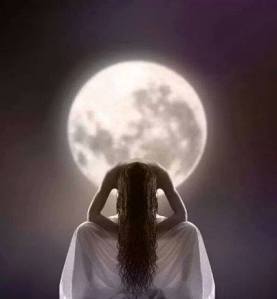 1511258_571535319582478_1752615481_n