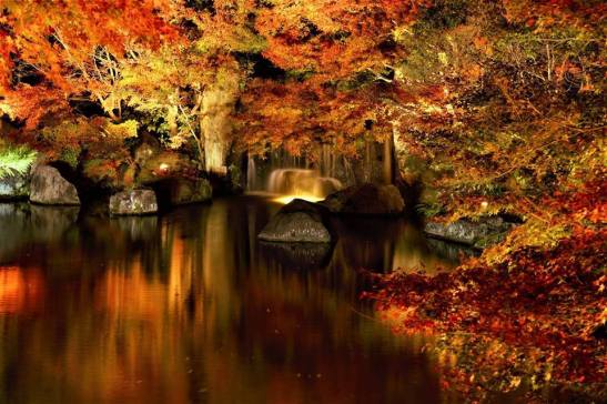 15400440_1306243672780225_6603034717638362054_n