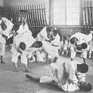 548664_411994495536562_957394714_n