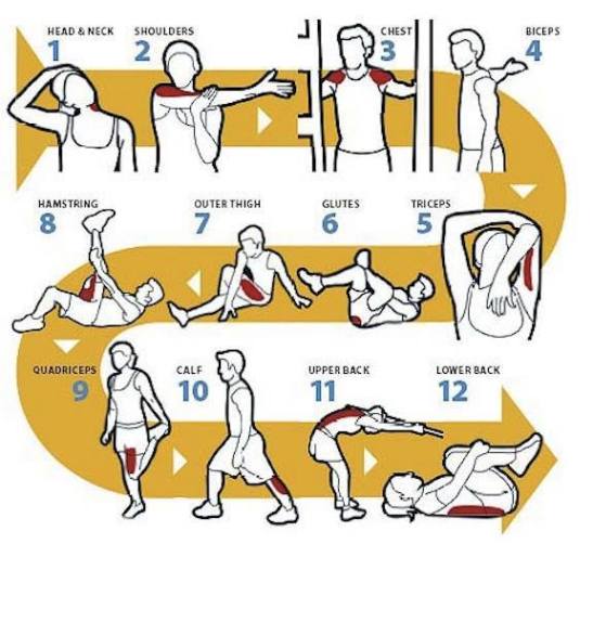 10896904_759468170789191_4921353177674908392_n