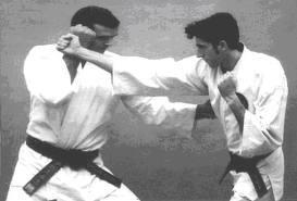 537578_332731636796182_1690619904_n