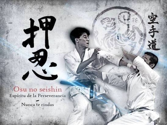 1660281_593898770679466_2021155612_n