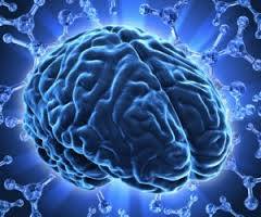 1796651_600193753383301_279384908_n