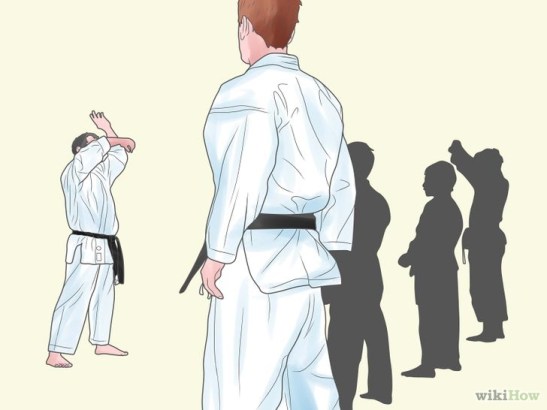 728px-start-doing-karate-do-step-4