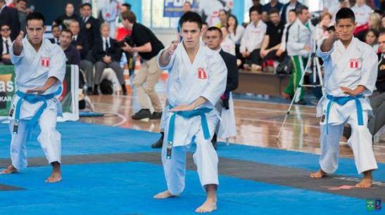 La Federación Mundial de Karate se ha visto obligada a quitarle la sede a Perú por no haber cumplido con requisitos. (Foto: FPK)