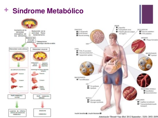 comparacin-de-diferentes-dietas-sobre-los-parmetros-del-sndrome-metablico-3-638