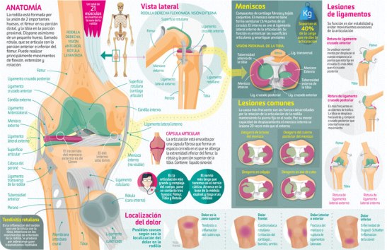 imagegallery-4933-58ad7658c706c